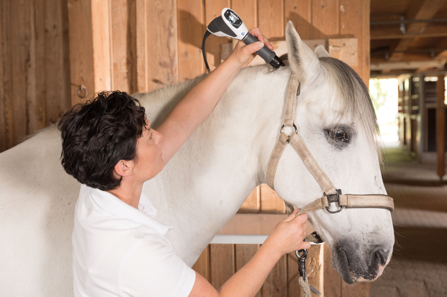 MASTERPULS® MP100 VET »ultra«