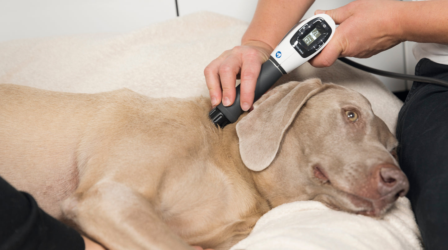 MASTERPULS® MP100 VET »ultra«