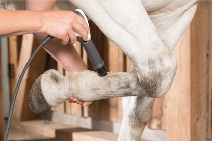 MASTERPULS® MP100 VET »ultra«