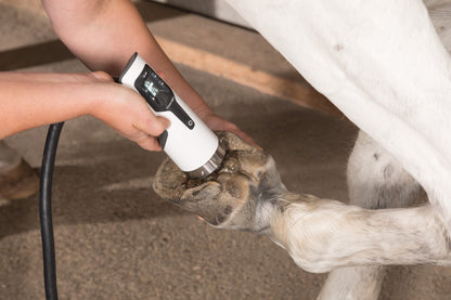 DUOLITH® SD1 VET »F-SW ultra«