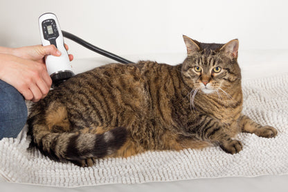 DUOLITH® SD1 VET »F-SW ultra«