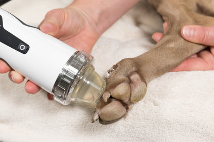 DUOLITH® SD1 VET »F-SW ultra«