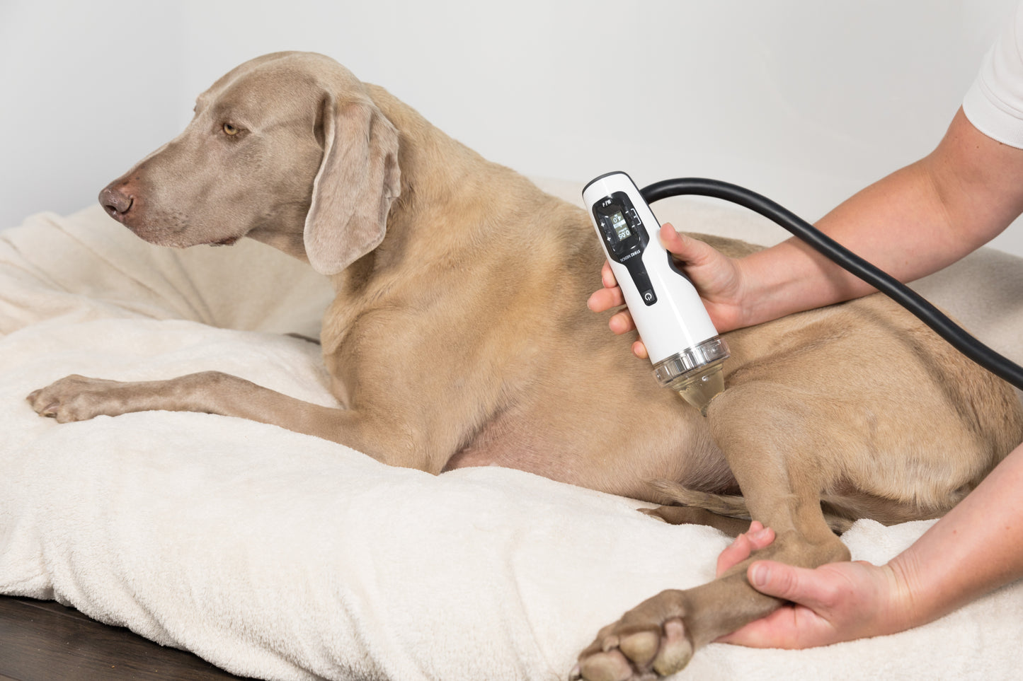 DUOLITH® SD1 VET »F-SW ultra«